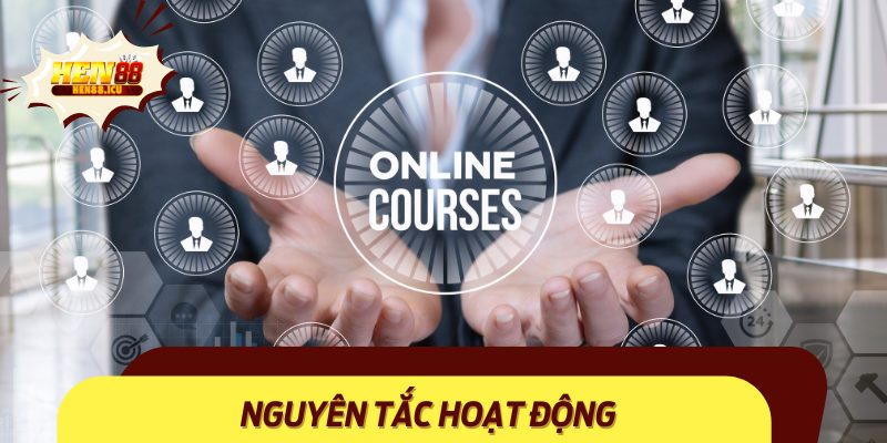Nguyên tắc hoạt động của nhà cái cá cược